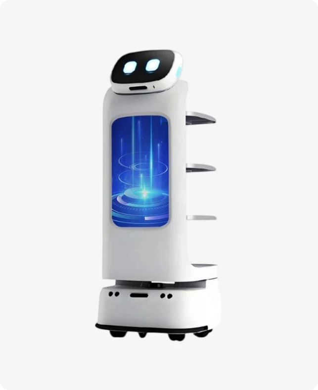 Tijorat xizmati robot